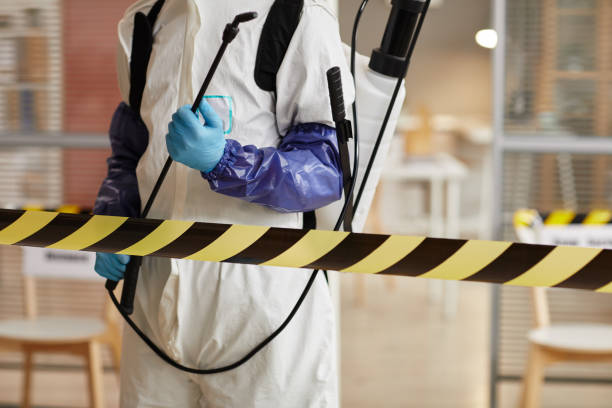 Professional Sewage Cleanup technician working in Stoughton, WI